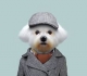 zooportrait-chien